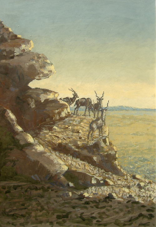 Bild Kudus auf dem Berg von Uli Aschenborn